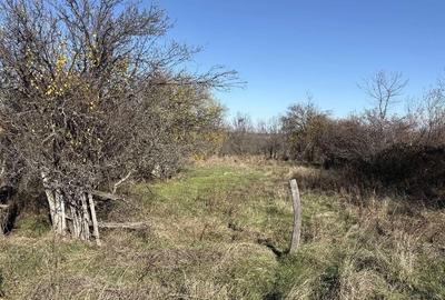 Teren zona linistita, padure la 11 km de Pitesti - 1