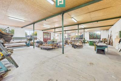 Hală industrială cu multiple destinații în Nădlac - 19