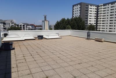 Birouri, Showroom, Sala de prezentari, Depozit , functiuni multiple - 18