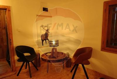 Casă de vacanță deosebită cu ciubăr si saună - natura si relaxare - 11