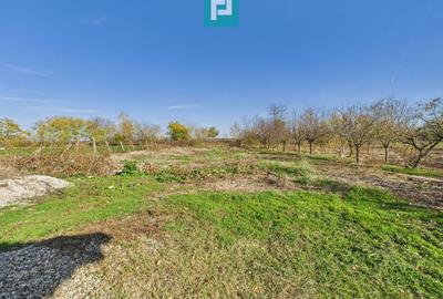 Proprietate impresionantă în Nădab - 30