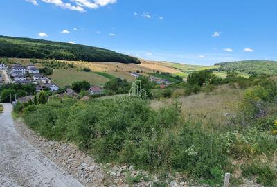 Teren 1 598 Mp De Vanzare, Panorama Superbă, Str Livezi, Sancrai - 5