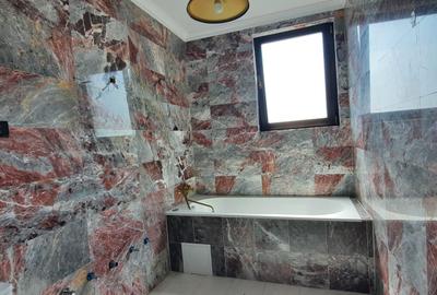 Apartament spatios in vila, etaj 2/2, curte comuna,Primaverii,Televiziune - 9