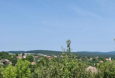 Casă individuală cu 3 camere în Deușu