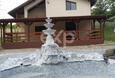 Reședință deosebită 5 Camere | 200 mp Utili | 1.438 mp Teren | Aleea Mănăstirii - 8