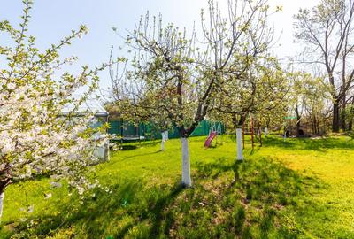 Casă / Vilă de vanzare Belciugatele str. VIILOR - 37