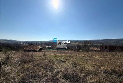 Loturi teren intravilan,sat Goruni - com.Tomesti,de vanzare. - 4