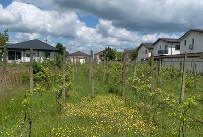 Stefanesti de Jos  Str Stadionului  teren intravilan 3000mp deschidere  50ml - 7