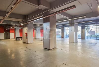 Inchiriere Spatiu Comercial - Sos. Nicolae Titulescu 639 mp - 5