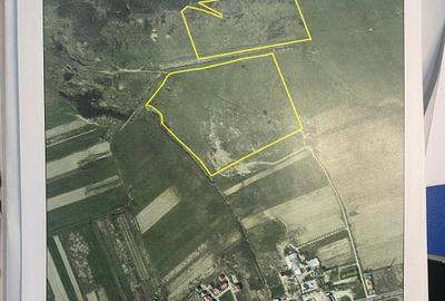 Targoviste - Teren 10ha - Posibilitate investitii - Parcelare - 6