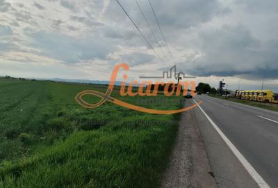 Teren Stupini Calea Feldioarei 11800 mp,25 euro/mp, front asfalt-DN13 - 4