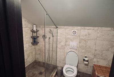 Proprietate exclusivă cu 2 imobile pe teren de 1375mp – spațiu, confort și intim - 13