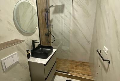 Apartament de închiriat, 2 camere, 50 mp, Horea zona UBB litere - 10