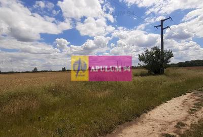 Teren 715mp în Snagov lângă Equestria - 39