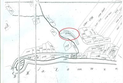 Proprietate rară în inima Retezatului – 5.700 mp teren intravilan - 8