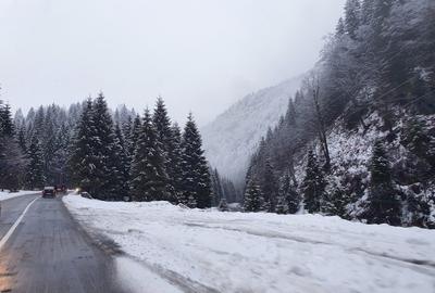 Teren de vanzare la munte pentru  cabana - 8