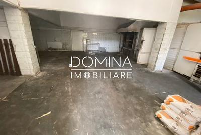 Închiriere spațiu comercial și teren, situate în Comuna Bălănești, sat Bălănești - 3