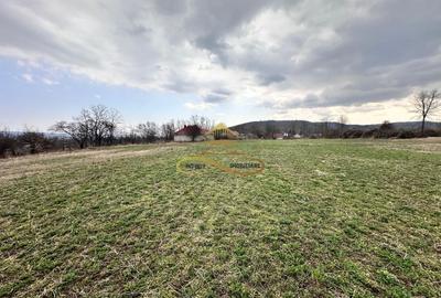 Teren de vanzare Blagesti Bacau - 9