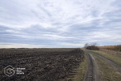 Teren agricol de vanzare, 17.900 mp, comuna Utvin - 1