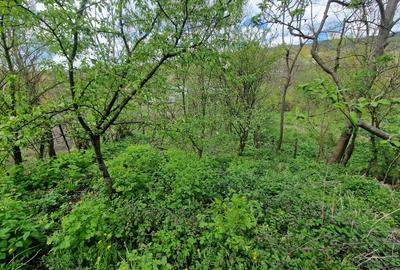 De Vanzare CASA + TEREN 1094mp VALEA LEURZII, DAMBOVITA - 8