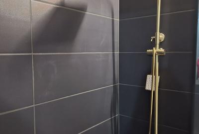 De vânzare Vilă individuala 11 camere curte proprie Parcul Carol - 14