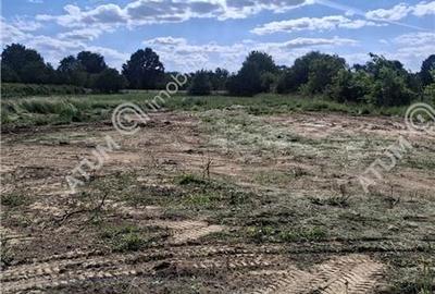 Teren intravilan de 2679 mp in Porumbacu de Sus din Sibiu - 5