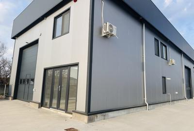 Hala industriala nouă, 386 mp, teren 900 mp, Domnești-Centura - 3