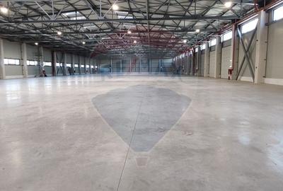 Spațiu industrial Clasa A - Otopeni Hala productie depozitare - 6
