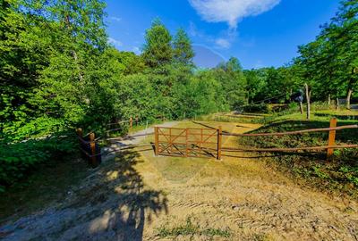 CASA DEOSEBITA DE VANZARE INTRERAURI, COAS - 36