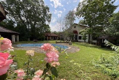 Vilă  cu Vedere si acces  la Lac Snaov–  visul tău din Izvorani - 4