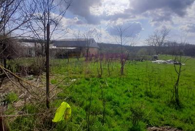 DE VANZARE TEREN 3400 MP IN SAT PODU ILFOVAT / COM BUTURUGENI (GR) - 22