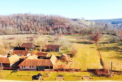 Moștenirea din Iersnic: poveste, utilități urbane și liniste banateana - 1