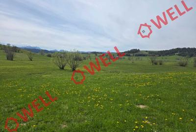 De vânzare teren extravilan în Sărămaș! - 5