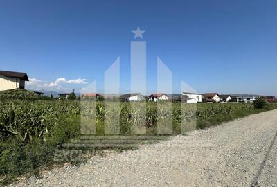Teren intravilan | De vanzare | 5000 mp | 150 ml deschidere | Micesti - 2