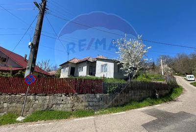 Casa bunicilor, cu gradina, Lera, Buzau! - 13