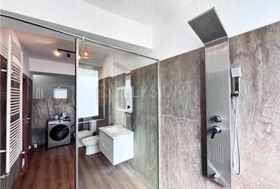 Apartament de inchiriat 2 camere Herastrau - 23