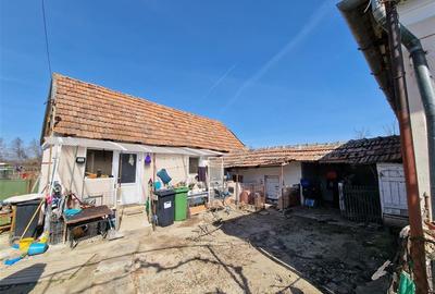 Teren mare cu 2 case in Sabolciu, com. Sacadat - 17