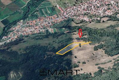 Teren extravilan 5500 mp, la padure zona Selimbar (Mohu) - 2