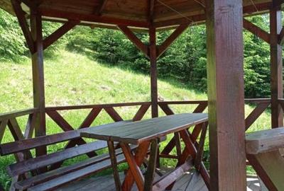 Pensiune in Ciocanesti judetul Suceava - 3