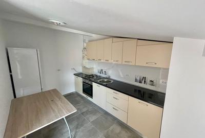 2 camere, terasă, Jiului - 4