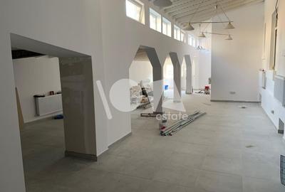 De închiriat: casă 9 camere-Vasile Lascăr-Mihai Eminescu-Bd.Dacia - 4