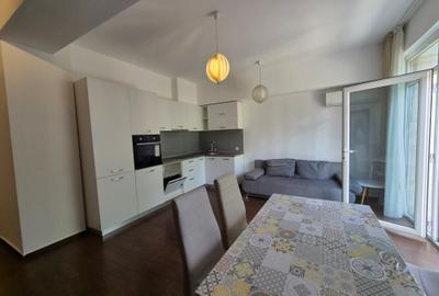 Inchiriere Duplex 2 Camere cu Gradina Iancu Nicolae - 2