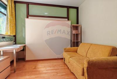 Apartament cu 3 camere de inchiriat în zona Kiseleff I Clucerului - 17