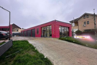 Inchiriere - Spatiu multifunctional auto / logistic - 22