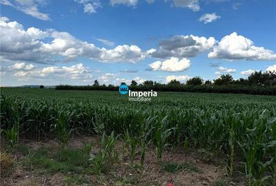 Teren intravilan,19800 mp,Roman zona Poligon - 4