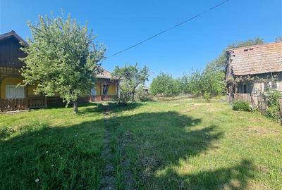 Teren intravilan de vanzare 14900 mp, 43m deschidere  Mureseni, Mures - 5