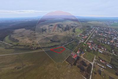 Teren generos cu două fronturi, Frumușeni – zonă în dezvoltare - 7