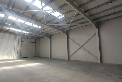 Depozite de inchiriat TBM Grup industrial park Chitila | Acces TIR - 6