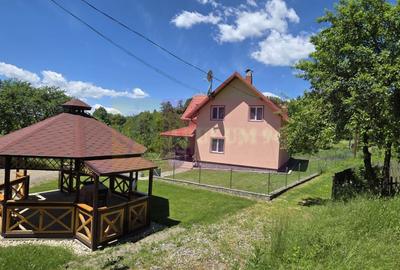 Vila de vanzare in Breaza-Nistoresti cu 7068 mp - 46