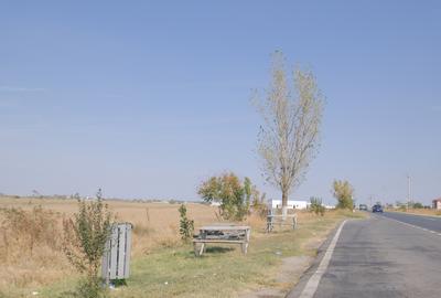 5,7 Ha. vav de Dovinot - Mihailesti, teren intravilan cu deschidere la DN6 - 5